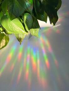 1pc Colored Film Art Electrostatic Glass Sticker, Waterproof Pvc, Minimalist Art For Living Room, Bedroom Window Decoration - Multicolor - View 5