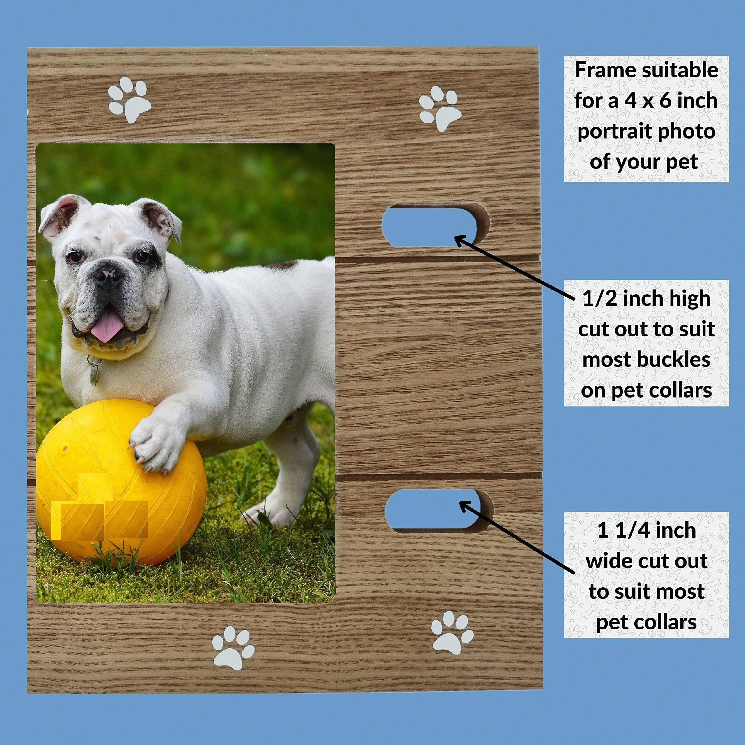 Pet Memorial Picture Frame Perfect Dog Memorial Picture Frame With