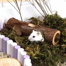 1pc Wooden Tube Tunnel Pet Hamster Rabbit Chew Toy - Multicolor - View 8