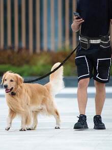 1 套夜間反光寵物跑步運動牽引服帶腰包,4 件套,適合 2kg-20kg 中大型犬戶外玩耍、散步和跑步 - 黑色 - 查看 5