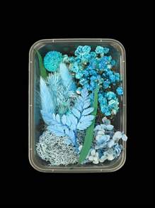 1盒,多彩自然乾花為環氧樹脂手工藝品diy花束花環蠟燭製作家居婚禮裝飾,聖誕材料 - 3號藍色 - 查看 1