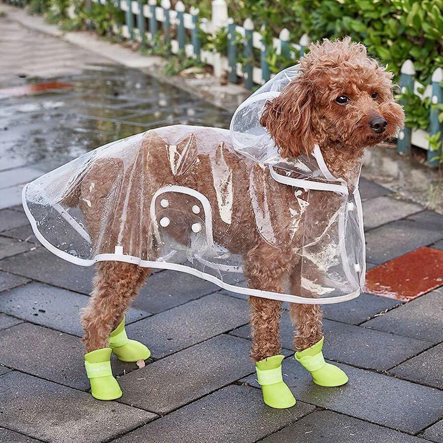 狗狗雨衣寵物衣服泰迪比熊小型犬透明防水雨衣 - 無色 - 查看 1