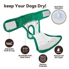 狗狗經期生理褲,防水防騷擾功能,可水洗寵物尿布 - 紫色 - 查看 5