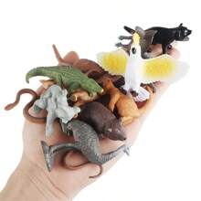 北澳大利亚野生动物模型袋鼠、鳄鱼、考拉、棕熊、驼鹿活动模型 PVC 可爱小玩具益智儿童玩具礼物房间装饰 - 軍綠色 - 查看 5