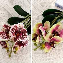 Butterfly Orchid Artificial Artificial Flower, Home Decoration, Wedding Party Decoration - Pink Green - View 5
