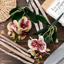 Butterfly Orchid Artificial Artificial Flower, Home Decoration, Wedding Party Decoration - Pink Green - View 6