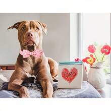 新款情人節淺粉色愛心圖案寵物貓狗室內外玫瑰金扣布藝領結蝴蝶結套裝組合 - 藕粉色 - 查看 7