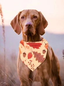 1只宠物三角巾与枫叶和南瓜相间图案,适用于猫和狗,装饰配件 - 彩色 - 查看 1