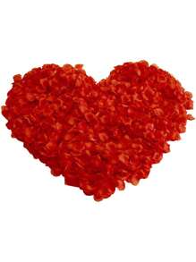 100片玫瑰花瓣,用於婚禮手捧、浪漫婚禮裝飾、情人節、求婚 - 紅色 - 查看 7