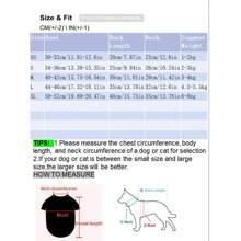 2pcs/Set Pet Clothes With Hair Clip, Cute Cherry Pattern Pet Clothes For Spring And Summer, Lace Bow Tie Dog Wedding Dress, Cat Skirt Suit Pet Clothing - White - View 2