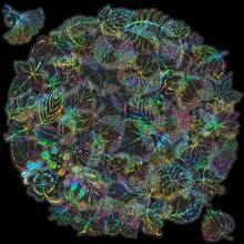 50入組/套全彩色葉子水鑽貼紙,適用於青少年和成年人,透明裝飾貼紙,適用於diy水壺、剪貼簿、筆記本電腦 - 彩色 - 查看 10