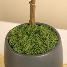 1 套仿真苔蘚植物微景觀假山 Diy 道具園林裝飾假苔蘚造景人造草坪苔蘚 - 綠色 - 查看 4