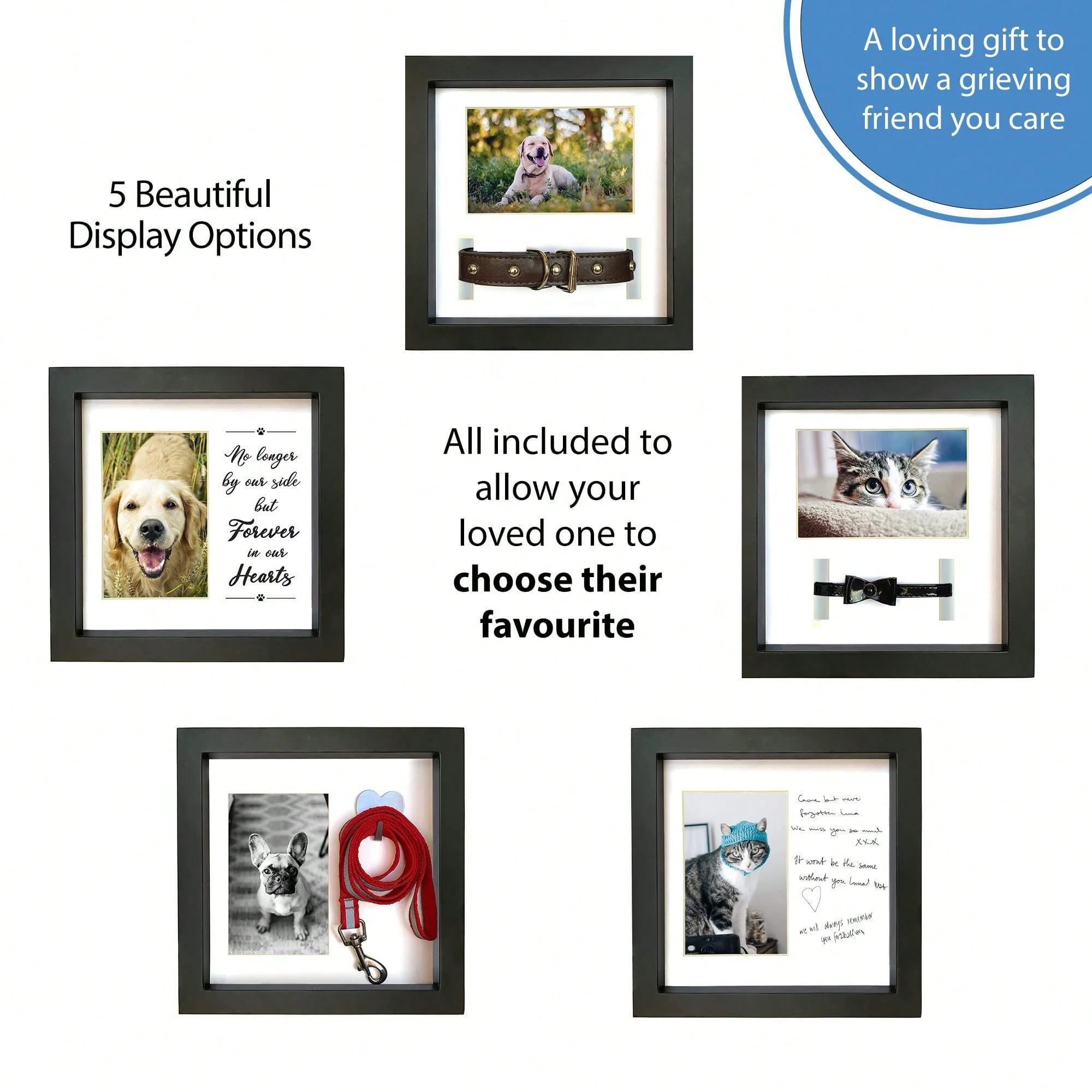 Dog Memorial Picture Frame With 5 Display Options Dog Collar Memorial