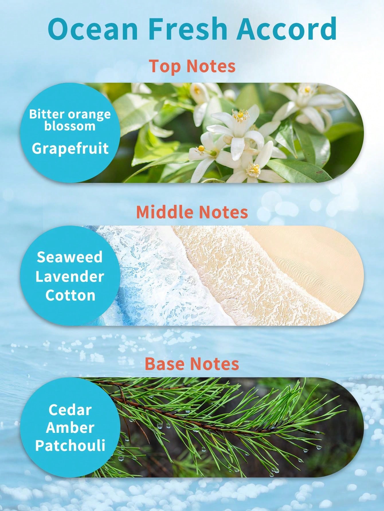 Ocean Fresh Dog Cologne Deodorizing Spray For Dogs & Cats