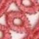 Coral Pink