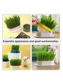 macetas de zacate para gatos sin piso, caja de cultivo de zacate gatera de plástico, práctico estuche para plantas - Multicolor - Ver 6