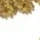 Ouro Velho