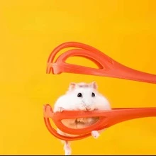 1PC Random Color New Hamster Traps, Mouse Trap, Small Pet Interactive Toy Supplies, Landscaping Mousetrap - Orange - View 4