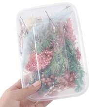 Flores Secas Naturais Coloridas, Artesanatos De Resina Epóxi Para Fazer Em Casa. Buquês, Guirlandas, Velas, Caixas De Presente Para Casamentos Em Familia, Decoração De Flores Secas, Flores Eternas E Decorativas. Conjunto Variado