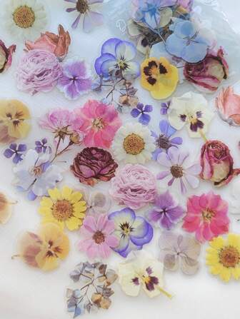 1pack/40pcs Fresh Flower & Leaf Petal Design Decoration Sticker For Diary Scrapbooking Back To School