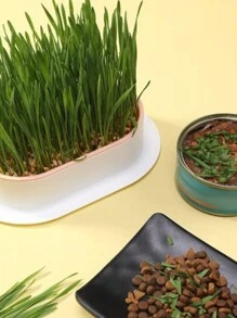 macetas de zacate para gatos sin piso, caja de cultivo de zacate gatera de plástico, práctico estuche para plantas - Multicolor - Ver 5