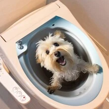 1 件創意 3d 黏性廁所貼花帶狗設計,防水防油,適合浴室使用 - 彩色 - 查看 3