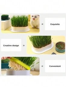 macetas de zacate para gatos sin piso, caja de cultivo de zacate gatera de plástico, práctico estuche para plantas - Multicolor - Ver 8