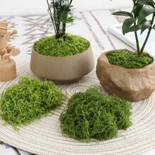 25克50克100克仿真苔蘚、草皮、白色頭髮苔蘚、人造苔蘚、微型景觀佈局、草坪、盆景和植物鋪路用於造景 - 綠色 - 查看 8