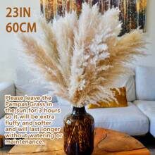 10/20 Pcs 23 Inch Tall Fluffy Pampas Grass, Pompous Grass Decor Wedding Flower Boho Decor Natural Pompas Flower Bouquet - Beige - View 3