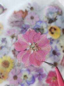 1包/40張新鮮花卉和葉子花瓣設計裝飾貼紙,適用於日記剪貼簿 - 彩色 - 查看 4