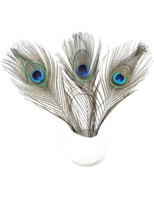 10/20/40 件天然孔雀羽毛，家居装饰和插花，DIY 工艺品 - 彩色 - 查看 2