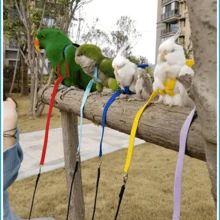 寵物鸚鵡鳥繩套,可調節的鳥類飛行繩套,帶可愛翅膀,適用於鸚鵡,鴿子,文鳥,愛情鳥,小鸚鵡,梅納等戶外訓練玩具（隨機顔色） - 淺藍色 - 查看 5