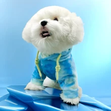 Pet Autumn And Winter Warm Clothes, Two-Legged Hooded Sweatshirt For Ferret - Multicolor - View 2