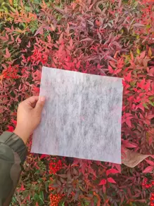 1 包/20 件新鲜牛奶衬里和简约风格鲜花包装纸，适用于小花束， - 杏色 - 查看 4