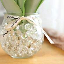 Bolinha Bio Gel Cresce Na Água Cartela 24 Pacote Transparent Colorida Fluorescente a Escolher