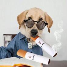 狗狗香煙布娃娃玩具,耐咬且可清潔牙齒 - 白色 - 查看 1