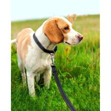 Reflective Dog Leash - Soft Padded Handle For Comfortable Training And Walking - Ideal For Medium And Small Dogs - High Visibility For