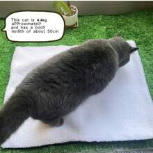 無內芯寵物墊,可自填充 墊子可拆卸、可清洗,具有一體式防潮隔熱墊,讓寵物使用柔軟舒適 適合體重不超過 5.5 公斤的寵物 - 白色 - 查看 5