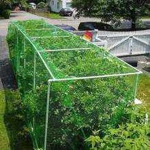 2*5米防鳥網,尼龍網,適用於動物、葡萄、魚池、冰雹、其它網眼 - 綠色 - 查看 8