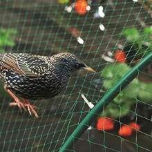 2*5米防鳥網,尼龍網,適用於動物、葡萄、魚池、冰雹、其它網眼 - 綠色 - 查看 2