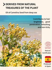 Triptych Of Lune 127頭髮修護亮髮強化護髮油65ml，富含角蛋白、神經酰胺和七種植物精華，修復損壞分叉末端，梳理毛躁，無需沖洗，柔軟滋養，打造閃亮保護髮質