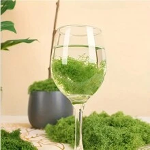 人造模擬苔蘚,苔蘚草線,魚缸造景,景觀裝飾,草坪盆景和盆栽造景,綠色植物草坪裝飾 - 綠色 - 查看 4