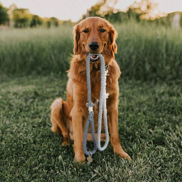 1 Piece Gradient Gray And Strong Connections With Tassels Are Suitable