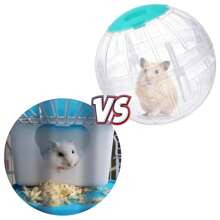 2pcs Hamster Exercise Ball, 5.7 Inch Hamster Running Ball Transparent Plastic Hamster Ball Wheel For Dwarf Hamsters Small Pets To Increase Activity - Multicolor - View 4