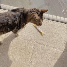 12 件創意拼圖造型互鎖地毯、純色方形磁磚地墊、臥室地毯、床邊地毯 - 12駝 - 查看 5