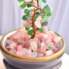 拋光玫瑰石英水晶片（0.275-0.335 英吋）- 精選天然滾磨室內噴泉石和海玻璃晶體散裝、治療、靈氣、冥想、巫術和家居裝飾 - Rose Quartz - 查看 6