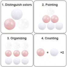 50 Ball Pit Balls-Thicken Plastic Balls 2.16 In For Toddlers Babies Children Balls For Swim Pool Playpen Tent Birthday Party Decoration Gifts 50 Pcs