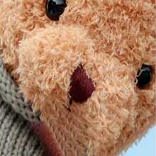 1 Pieza Muñeco Oso De Peluche Con Ropa - Marrón - Ver 5