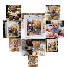 1 Pieza Muñeco Oso De Peluche Con Ropa - Marrón - Ver 4