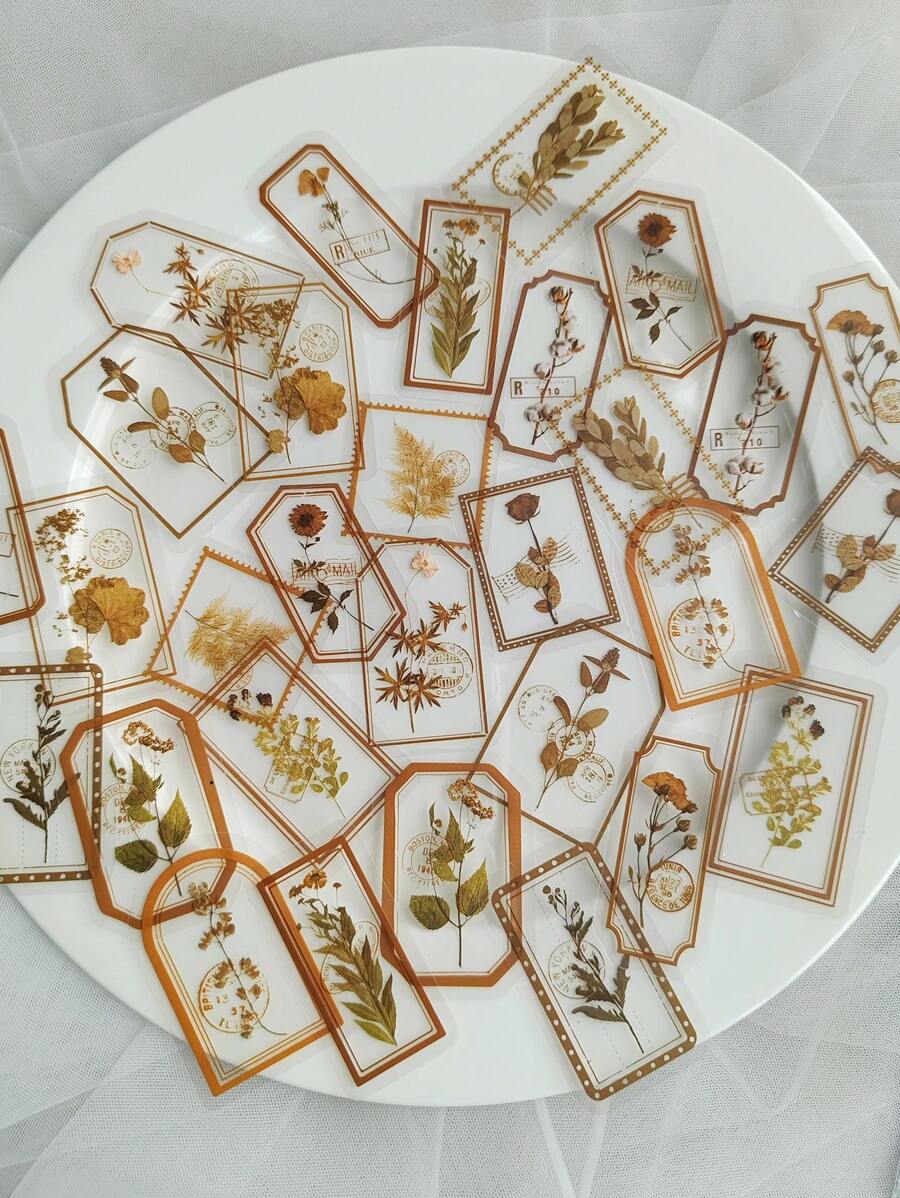 1pack 30pcs Vintage Border & Plant Floral Decoration Stickers, Pet Material, Transparent & Waterproof, For Diy Scrapbooking & Journaling Decor Back To School